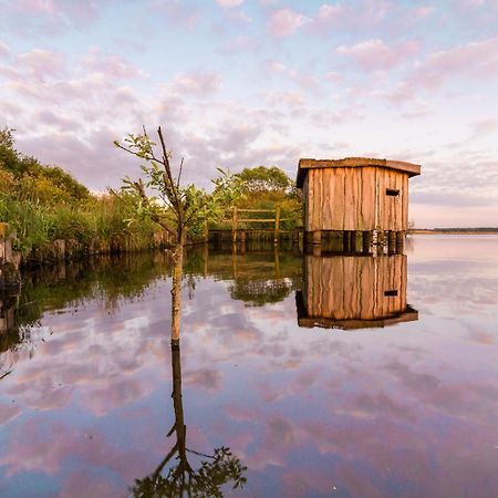 Ferienwohnung Hohner Seeblick Hohn  Екстер'єр фото